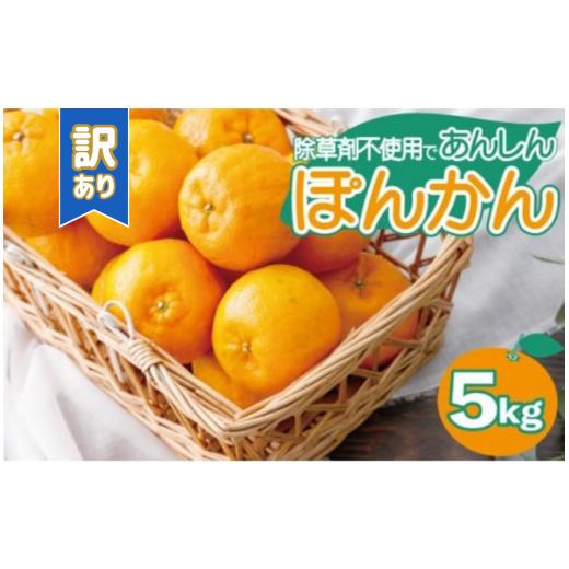 ふるさと納税 みかん・柑橘類 高知県 東洋町 先行予約 訳ありポンカン 5kg 国産 東洋町産 甘酸っぱい 甘い 果汁 ジューシー 高知県 東洋町 四国 お取り寄せ …
