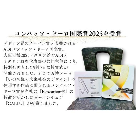ふるさと納税 家具 石川県 小松市 軽量・高強度のカーボンチェア「CALLU」専用チェアカバー：ブルー 家具 デザイナーズ チェア いす 受注生産 専用チェアカバ…の画像