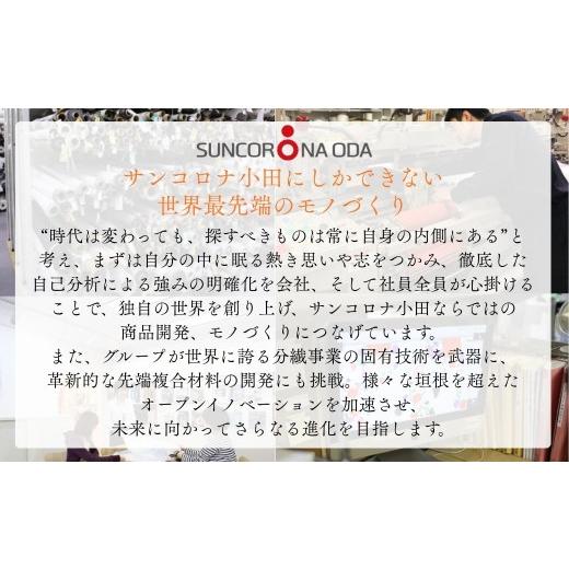 ふるさと納税 家具 石川県 小松市 軽量・高強度のカーボンチェア「CALLU」専用チェアカバー：レッド 家具 デザイナーズ チェア いす 受注生産 専用チェアカバ…の画像