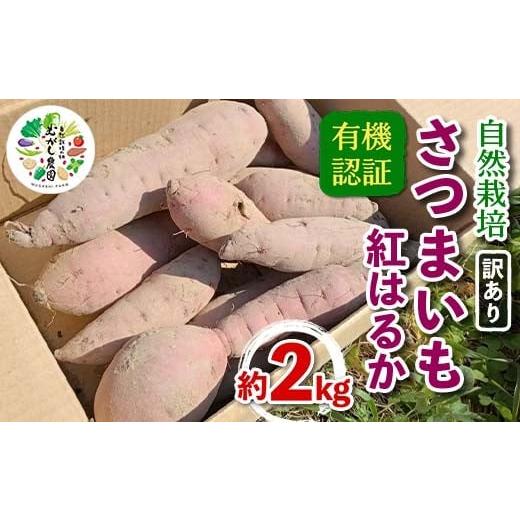 ふるさと納税 野菜類 サツマイモ 青森県 南部町 訳あり 有機認証 自然栽培 さつまいも (紅はるか) サイズ 混合 約2kg むがし農園 サツマイモ 薩摩芋 焼芋 や…
