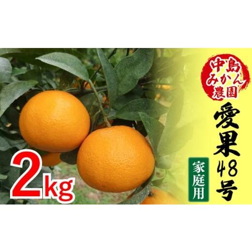 ふるさと納税 果物類 みかん 愛媛県 松山市 2026年3月から発送予定 愛果48号 家庭用 2kg | あいか 家庭用 紅プリンセス と同品種 先行予約 高級 蜜柑 ミカン …
