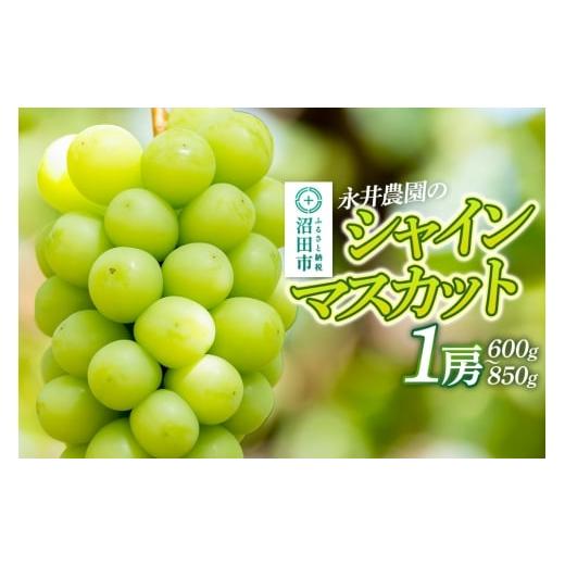 ふるさと納税 果物類 ぶどう 群馬県 沼田市 シャインマスカット 1房(600g〜850g)永井農園