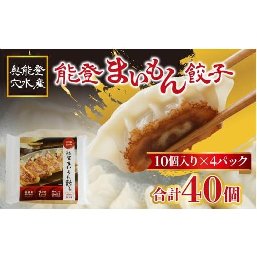 ふるさと納税 惣菜・レトルト 冷凍 石川県 穴水町 奥能登 穴水産 「能登まいもん餃子」 40個(10個入 × 4パック)| 奥能登 能登半島 冷凍 小分け ぎょうざ ギ…