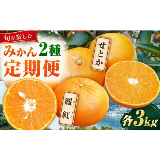 ふるさと納税 果物類 みかん 長崎県 長与町 2回定期便 みかんの定期便 麗紅(れいこう)&せとか 各3kg 長与町/果豊園