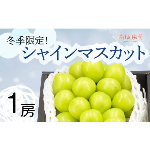ふるさと納税 ぶどう マスカット 山梨県 南アルプス市 2026年発送分先行予約 冬に食べる シャインマスカット1房 ALPAJ011 | シャインマスカット ぶどう フ…