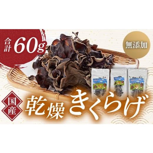 ふるさと納税 野菜類 きのこ 群馬県 玉村町 群馬県産 乾燥きくらげ (こたちゃんきくらげ)セット 60g 無添加 無農薬 国産