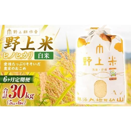 ふるさと納税 米 ヒノヒカリ 福岡県 うきは市 6か月定期便 白米 野上米 5kg×6回 計30kg 2025年10月下旬より発送予定 ヒノヒカリ 米 こめ コメ お米 常温 国…