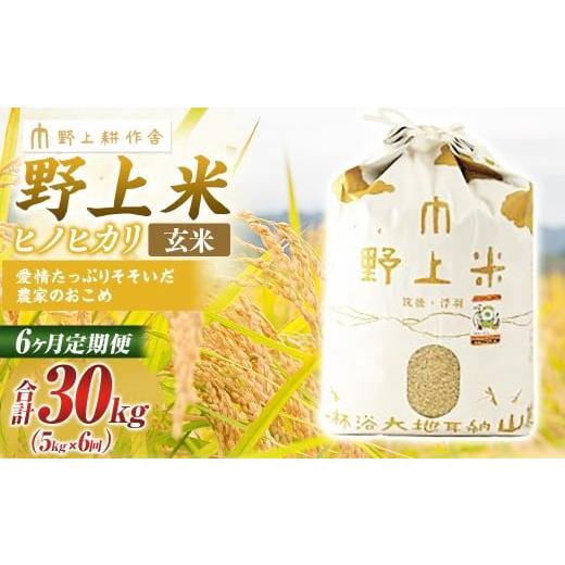 ふるさと納税 米 ヒノヒカリ 福岡県 うきは市 6か月定期便 玄米 野上米 5kg×6回 計30kg 2025年10月下旬より発送予定 ヒノヒカリ 米 こめ コメ お米 常温 国…