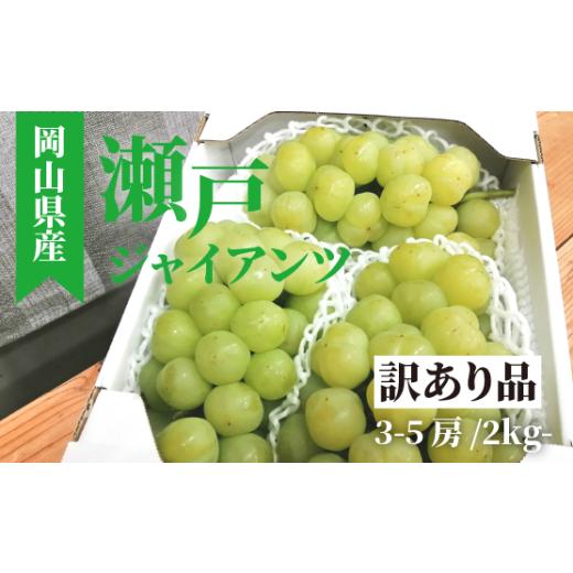 ふるさと納税 ぶどう 岡山県 真庭市 きよとうファーム 訳あり品瀬戸ジャイアンツ(岡山県産)3-5房入/2kg~ &lt;2025年発送&gt;