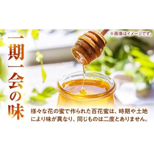 ふるさと納税 加工品等 はちみつ 福井県 小浜市 百花蜜 はちみつ 600g ×2瓶 非加熱 純粋蜂蜜 ／ ハチミツ 蜂蜜 自然の恵み 一期一会 小浜市 ／ HAOTO BFEH002…の画像