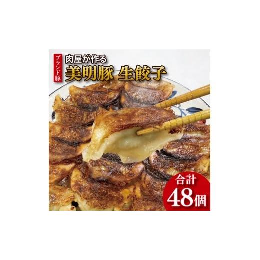 ふるさと納税 豚肉 茨城県 行方市 数量限定 最短7日発送 ブランド豚 肉屋が作る 美明豚 生餃子 24個入り×2パック 肉 豚肉 国産 茨城県産 すぐ 届く(HI-5)