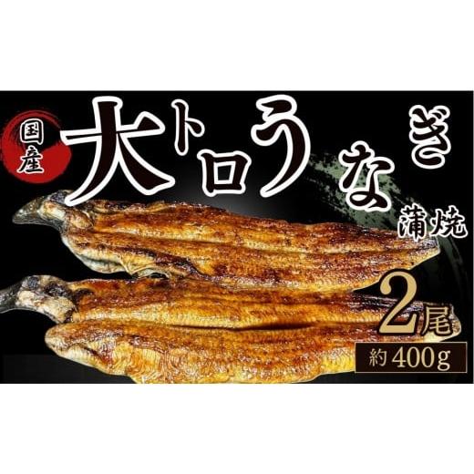 ふるさと納税 うなぎ 鳥取県 鳥取市 30年間継承されてきた秘伝のタレで焼き上げたうなぎの蒲焼き