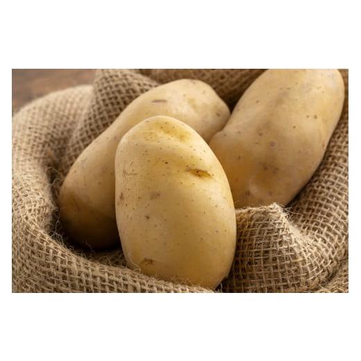 ふるさと納税 野菜類 じゃがいも 北海道 北広島市 じゃがいも(メークイン) 約5kg 2025年9月上旬〜2026年1月下旬発送 じゃがいも ジャガイモ メークイン 野菜…