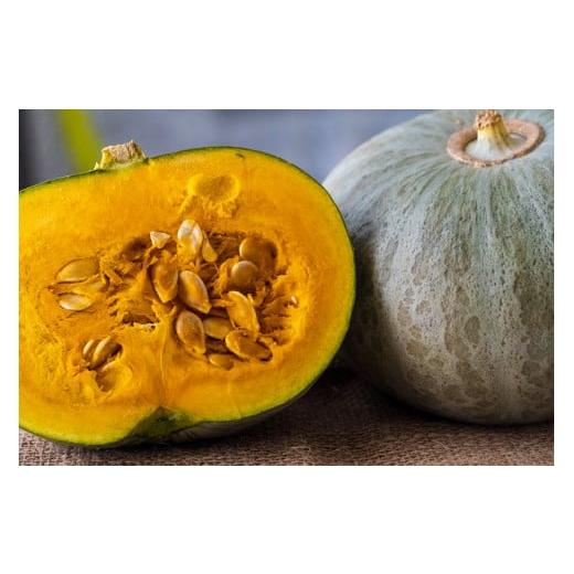ふるさと納税 野菜類 北海道 北広島市 かぼちゃ(雪化粧) 2玉 約3kg 2025年10月上旬〜2026年1月下旬発送予定 かぼちゃ カボチャ 雪化粧 野菜 北海道 北広島市
