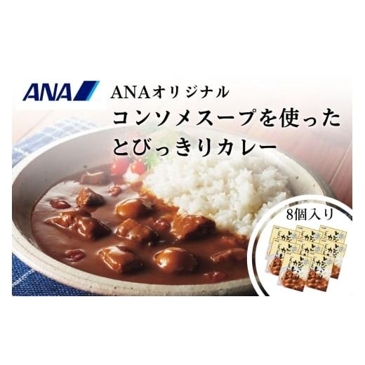ふるさと納税 加工品等 レトルト 和歌山県 有田市 ANAオリジナルビーフコンソメスープを使ったとびっきりカレー8個セット(A1052-1)