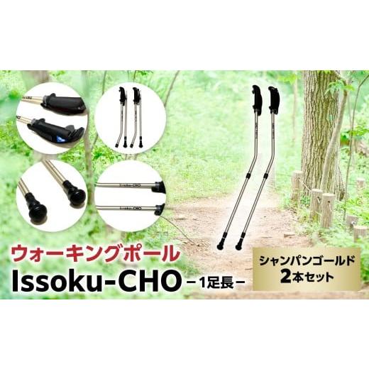 ふるさと納税 アウトドアグッズ 登山・トレッキング 大分県 大分市 ウォーキング Issoku-CHO(1足長) シャンパンゴールド 2本セット 大分県 大分市 2本セット…