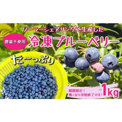 ふるさと納税 果物類 千葉県 香取市 千葉県香取市産 冷凍ブルーベリー ソーラーシェアリング生産 農薬不使用 SDGs KT