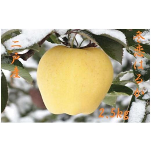 ふるさと納税 りんご 岩手県 二戸市 二戸産 カシオペア 冬恋はるか 約2.5kg 2025年12月上旬-下旬発送予定 /りんご リンゴ 林檎 フルーツ 果物 旬 お取り寄せ …