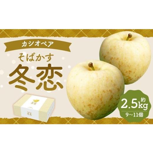 ふるさと納税 りんご 岩手県 二戸市 二戸産 カシオペア そばかす冬恋はるか 約2.5kg 2025年12月上旬-下旬発送予定 /林檎 リンゴ フルーツ 果物 はるか お取り…