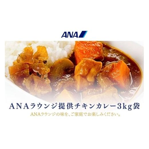 ふるさと納税 加工品等 レトルト 和歌山県 有田市 ANAラウンジ提供食販売 オリジナルチキンカレー 3kg袋(A1056-1)