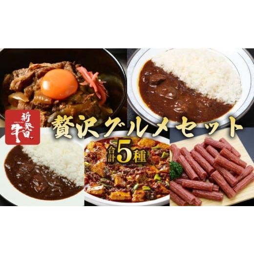 ふるさと納税 加工品等 レトルト 新潟県 新発田市 新発田牛 贅沢グルメセット 5種 牛すじカレー 贅カレー 牛丼の具 麻婆豆腐の素 サラミ 詰め合わせ ブランド…
