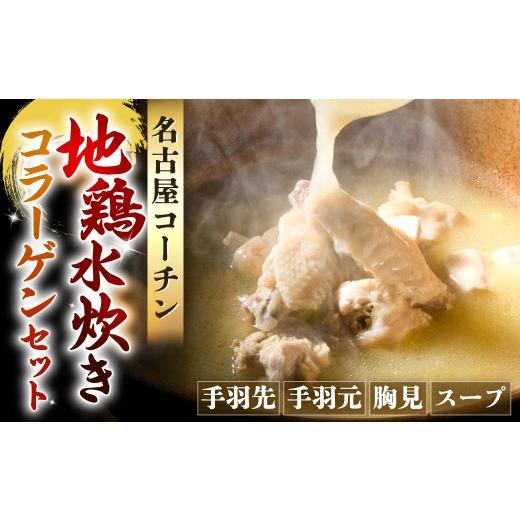 ふるさと納税 水炊き 福岡県 北九州市 名古屋コーチン 地鶏水炊きコラーゲンセット 約600g 水炊き 水たき 鍋セット 鍋 地鶏 冷凍 福岡県 北九州市