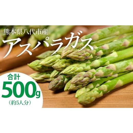 ふるさと納税 野菜類 アスパラガス 熊本県 八代市 先行予約 熊本県 八代市産 アスパラガス 500g 新鮮 アスパラ 野菜 やさい 旬 2026年4月上旬より順次発送