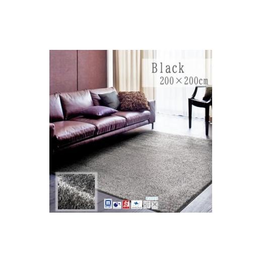 ふるさと納税 家具 大阪府 和泉市 200×200cm ネオグラス カーペット ラグ カラー:ブラック 1502451