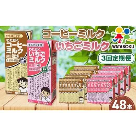 ふるさと納税 牛乳・乳飲料 埼玉県 行田市  3回定期便 わたぼくコーヒーミルク・いちごミルクセット 48本入り ／ パック飲料 乳飲料 コーヒーミルク いちごミ…_1