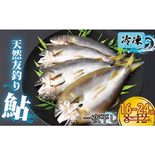 ふるさと納税 旬の鮮魚等 高知県 安芸市 期間限定 天然友釣り鮎 一夜干し 鮎 16~24尾 4袋 冷凍 アユ 鮎干物 一夜干し 干物 天然鮎 川魚 鮮魚 鮎 あゆ 友釣り…