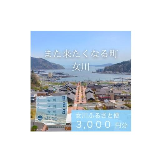 ふるさと納税 イベントやチケット等 宮城県 女川町 「女川ふるさと便」1000円分×3枚 1674172