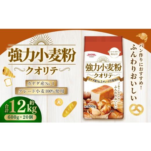 ふるさと納税 加工品等 茨城県 神栖市 強力小麦粉 クオリテ 600g×20個 合計12kg / 小麦粉 小麦 強力粉 粉 パン ピザ ぎょうざの皮 料理 常温