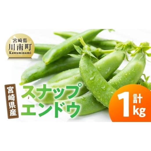 ふるさと納税 豆類 宮崎県 川南町 宮崎県産 スナップエンドウ1kg 宮崎県産 川南町産 スナップエンドウ