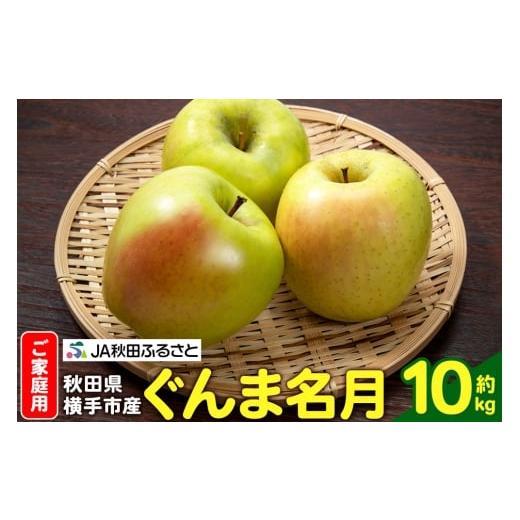 ふるさと納税 りんご 秋田県 横手市 11月中旬より発送 りんご ぐんま名月 家庭用 約10kg(32〜40玉)