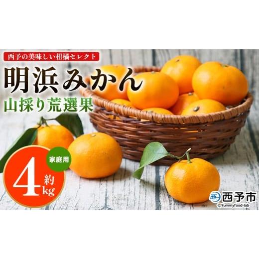 ふるさと納税 果物類 みかん 愛媛県 西予市 西予の美味しい柑橘セレクト(ご家庭用)/明浜みかん 山採り 荒選果(約4kg) 果物 くだもの フルーツ 蜜柑 みか…
