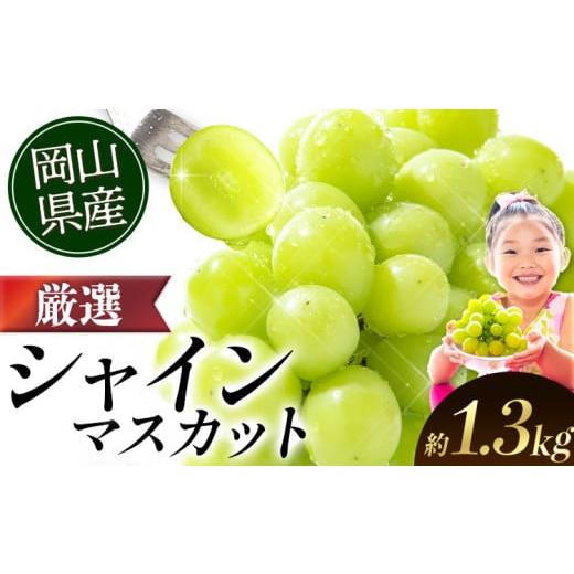 ふるさと納税 ぶどう マスカット 岡山県 矢掛町 シャインマスカット 2026年出荷先行予約 ランキング入賞 厳選 シャインマスカット 約1.3kg (2-3房)[2026年9月…