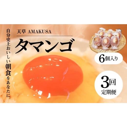 ふるさと納税 卵(鶏、烏骨鶏等) 熊本県 天草市 S038-T03_ 定期便3回 天草 タマンゴ 6個 卵