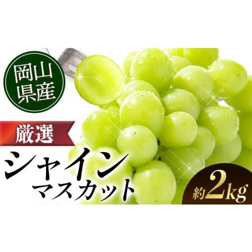 ふるさと納税 ぶどう マスカット 岡山県 矢掛町 シャインマスカット 2026年出荷先行予約 厳選 シャインマスカット 約2kg 3〜4房[2026年9月上旬-11月中旬頃に…
