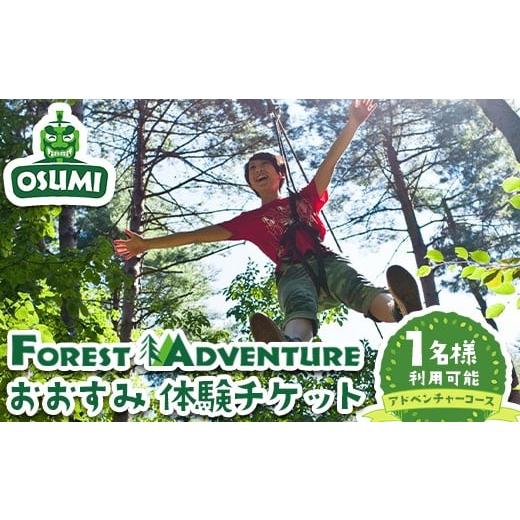 ふるさと納税 体験チケット 鹿児島県 曽於市 アドベンチャーコース フォレストアドベンチャー・おおすみ 体験チケット (1名分) 体験 アクティビティ チケット…