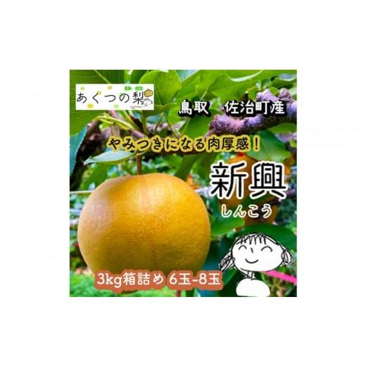 ふるさと納税 梨 鳥取県 鳥取市 新興梨 3kg箱詰め(鳥取県佐治町産) あくつの梨