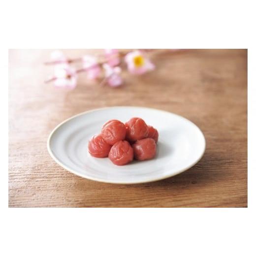 ふるさと納税 加工品等 梅干 神奈川県 小田原市 梅の宴 小梅干 850g