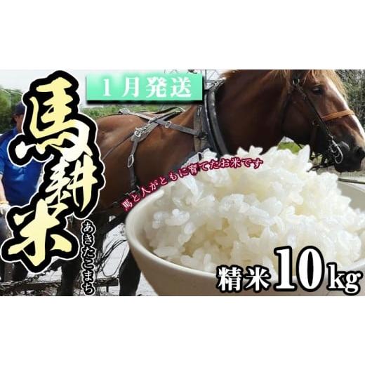 ふるさと納税 米 あきたこまち 岩手県 滝沢市 2026年 1月中旬より発送 岩手県産 馬耕米 あきたこまち 精米 10kg スタディア お米 米 白米 こめ コメ 馬ふん堆…
