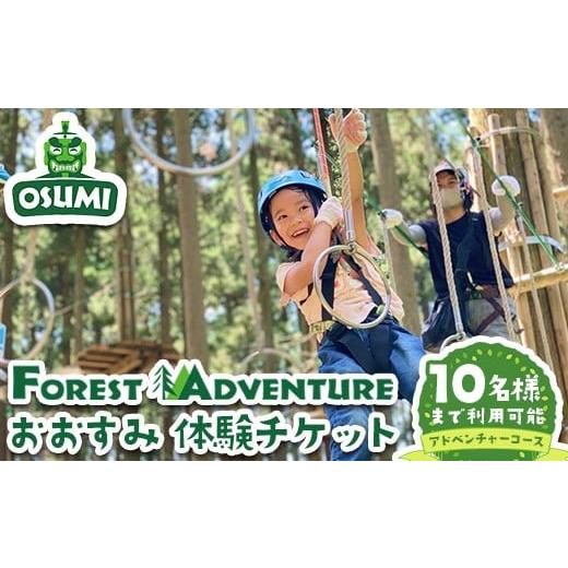 ふるさと納税 体験チケット 鹿児島県 曽於市 アドベンチャーコース フォレストアドベンチャー・おおすみ グループ体験チケット (最大10名様) 体験 アクティビ…