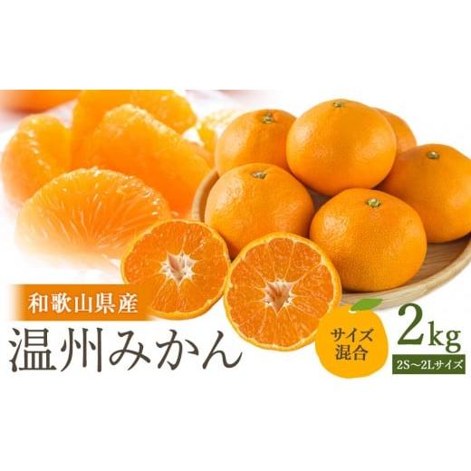 ふるさと納税 果物類 みかん 和歌山県 海南市 [先行予約]訳あり 温州みかん 約2kg 2S〜2Lサイズ混合[2025年11月上旬頃から順次発送予定]