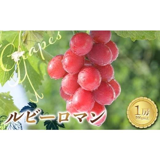 ふるさと納税 果物類 ぶどう 石川県 加賀市 高島屋選定品 ルビーロマン 一房 (700g以上)ぶどう 高級 ブドウ 葡萄 デザート フルーツ 果物 くだもの F6P-283…