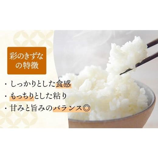 ふるさと納税 米 埼玉県 幸手市 令和7年産 彩のきずな 白米20kg 色彩