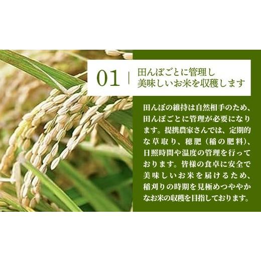 ふるさと納税 米 埼玉県 幸手市 令和7年産 彩のきずな 白米20kg 色彩