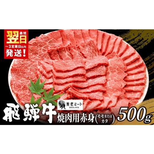 ふるさと納税 牛肉 モモ 岐阜県 東白川村 最短発送 贅沢 飛騨牛 モモまたはカタ 焼肉用 500g 2〜3人前 牛肉 和牛 肉 焼肉 BBQ 霜降り カルビ 赤身 モモ カタ …