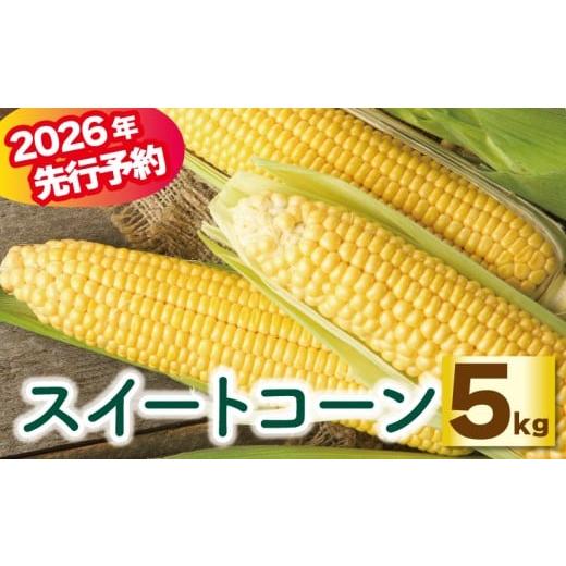 ふるさと納税 とうもろこし 香川県 丸亀市 予約 スイートコーン 5kg プレミアム味来 ゴールドラッシュ コーン とうもろこし 野菜 やさい 夏野菜 旬 旬の野菜 …