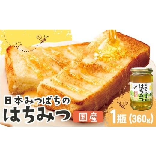 ふるさと納税 加工品等 はちみつ 徳島県 美馬市 日本みつばちのはちみつ 1瓶360g 正木ぶどう園[2025年9月上旬‐2026年2月下旬頃出荷]徳島県 美馬市 はちみ…